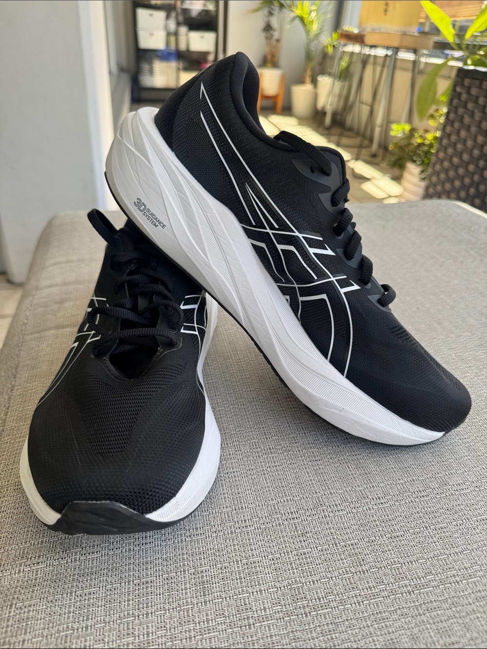 Asics GT 2000v15